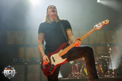 FEINE_SAHNE_FISCHFILET-BROSE_ARENA_BAMBERG-20122025-02
