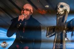 Dominum-Hirsch-Nuernberg-26-12-2024-01