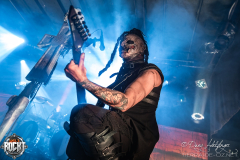 Dominum-Hirsch-Nuernberg-26-12-2024-03