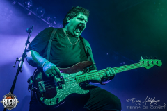 Formosa-Hirsch-Nuernberg-13-10-2025-09