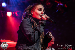 Lama-Hirsch-Nuernberg-29-12-2024-01