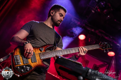 Lama-Hirsch-Nuernberg-29-12-2024-03
