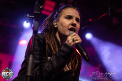 Lama-Hirsch-Nuernberg-29-12-2024-05