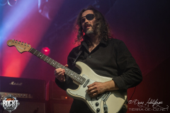 Purple-Rising-Hirsch-Nuernberg-02-01-2025-05