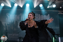 Snow White Blood - RVBang 2026