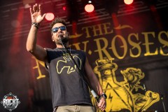 The New Roses - RVBang Open Air Festival 2025