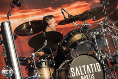 Saltatio Mortis - Burgentour: Staub & Schatten 2026