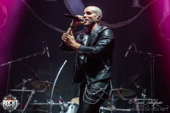 Induction-Zenith-Muenchen-19-06-2025-11