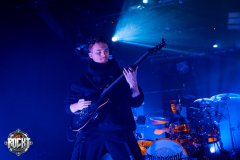 COLD-CULTURE-HIRSCH-NUERNBERG-26012025-04