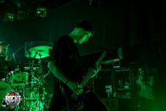 SIAMESE-HIRSCH-NUERNBERG-26012025-02