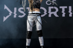 League Of Distortion - Summer Breeze Open Air 2025