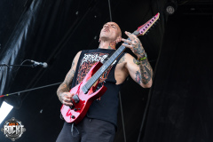 Coffin Feeder - Summer Breeze Open Air 2025