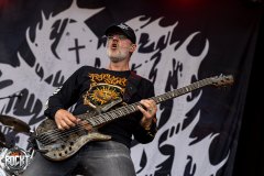 Coffin Feeder - Summer Breeze Open Air 2025