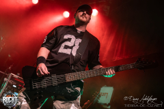 System-Of-A-Stu-Hirsch-Nuernberg-11-04-2025-15