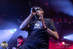 System-Of-A-Stu-Hirsch-Nuernberg-11-04-2025-17