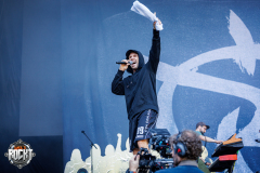 TAUBERTAL_FESTIVAL-IRIE_REVOLTES-09082025-002