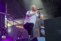 Drei_Meter_Feldweg_Taubertal_Festival_20260828_0000